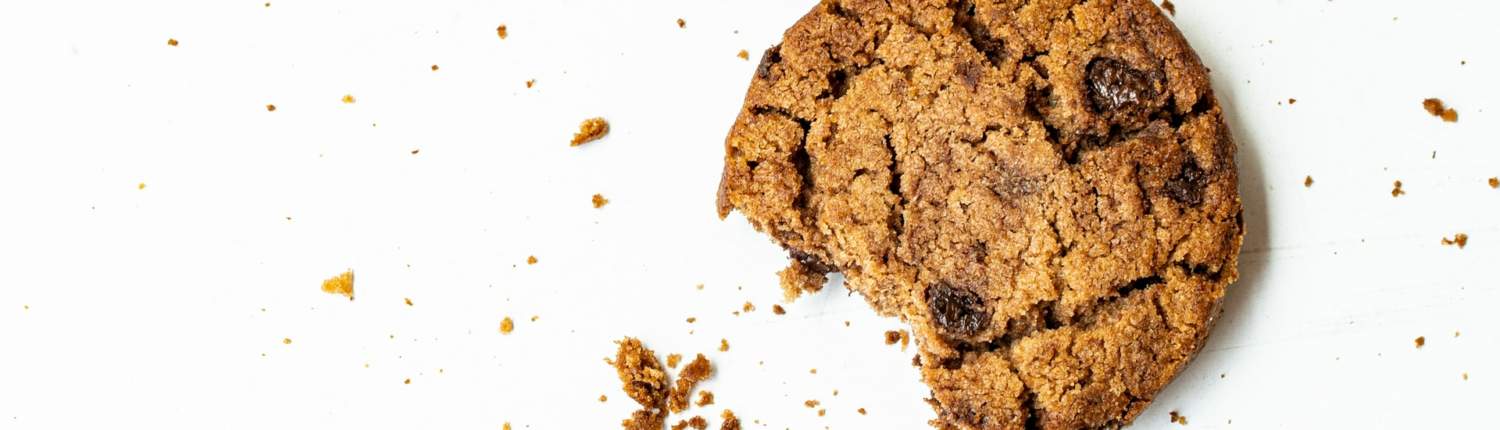 Wordpress Cookie RGPD Plugin - Photo by Vyshnavi Bisani