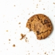 Wordpress Cookie RGPD Plugin - Photo by Vyshnavi Bisani